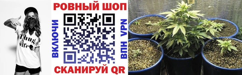 Alpha-PVP Зеленогорск