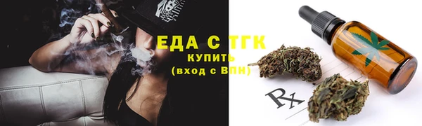 шишки Горно-Алтайск