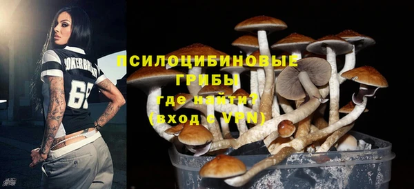 прущие грибы Верхний Тагил